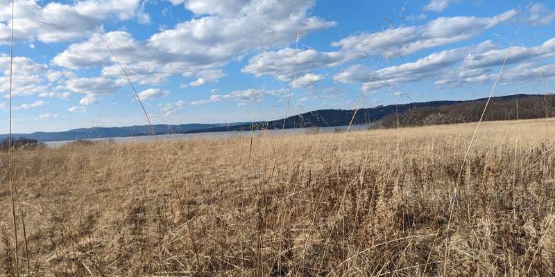 The featured photo for Croton Point Park Grassland
