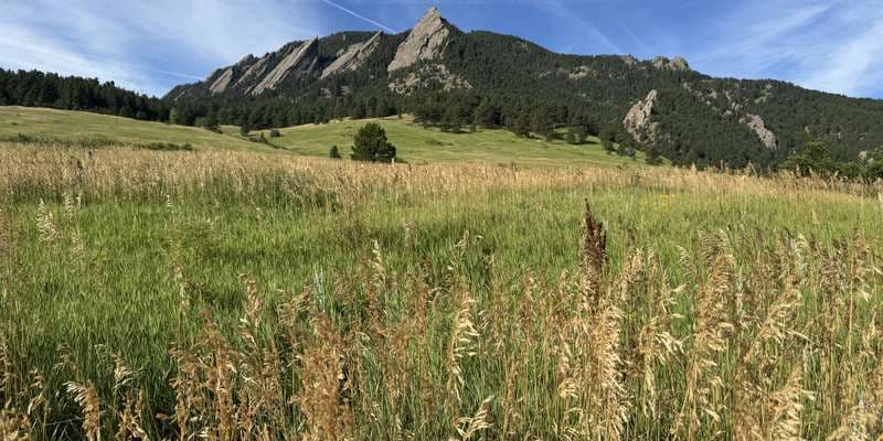 The featured photo for Chautauqua Meadow