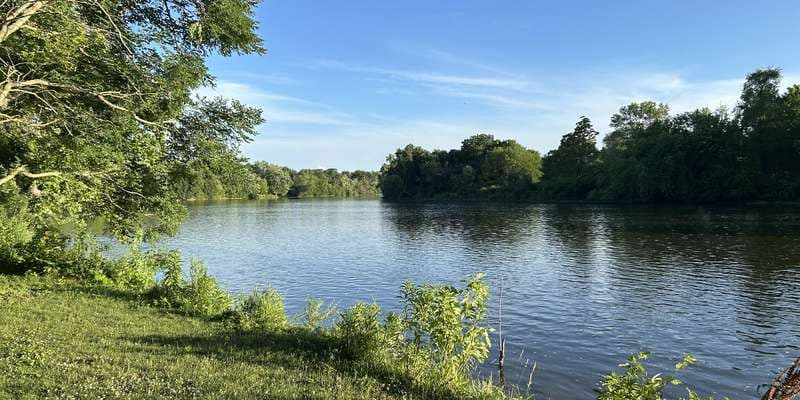 The featured photo for Violet Patch Park