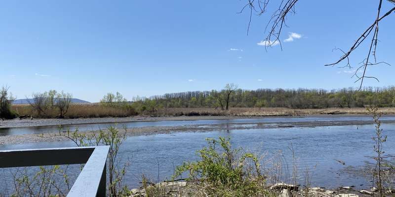 The featured photo for Madam Brett Park