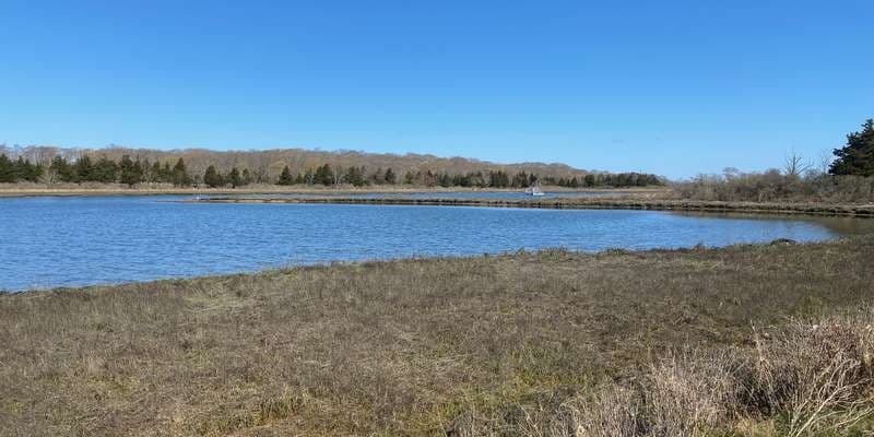 The featured photo for Conscience Point Nature Walk- Southampton