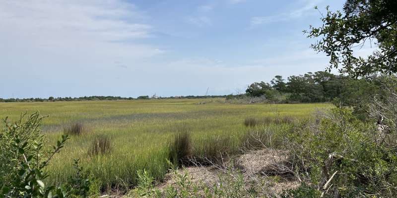 The featured photo for Fort Macon State Park