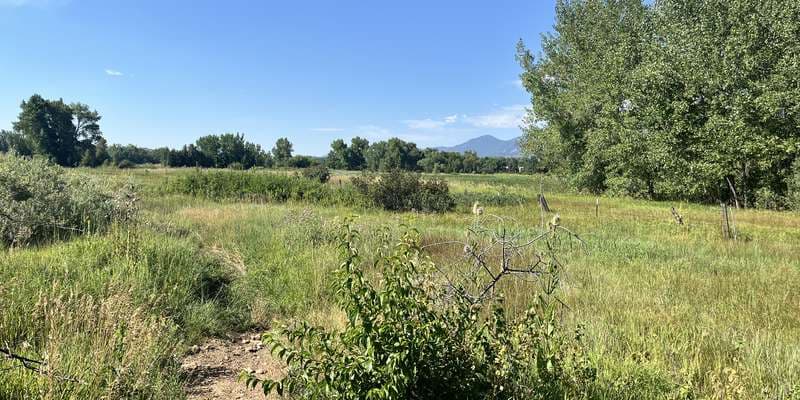 The featured photo for South Boulder Creek