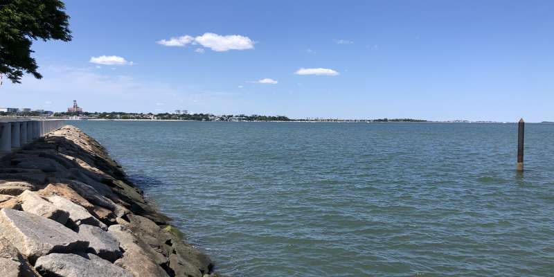 The featured photo for Fallon Pier