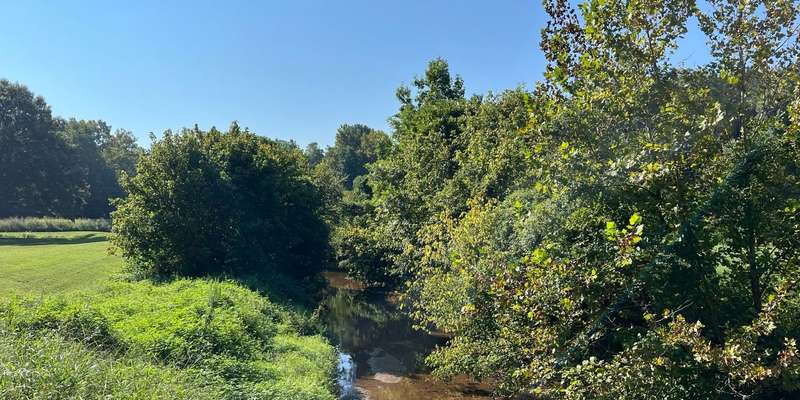 The featured photo for Linwood Springs