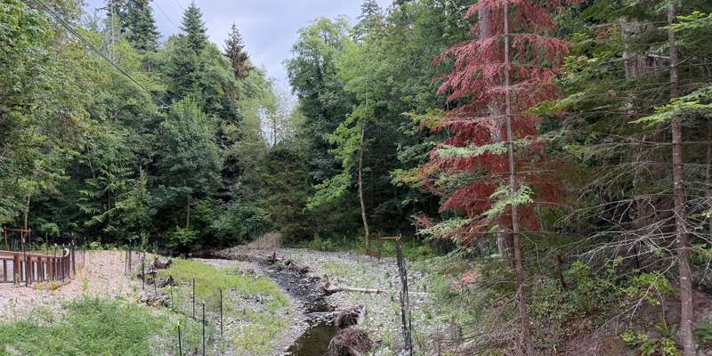 The featured photo for Padden Creek Fish Passage Project (14th Street)