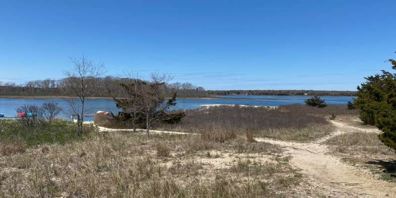 The featured photo for Louse Point- Accabonac Harbor