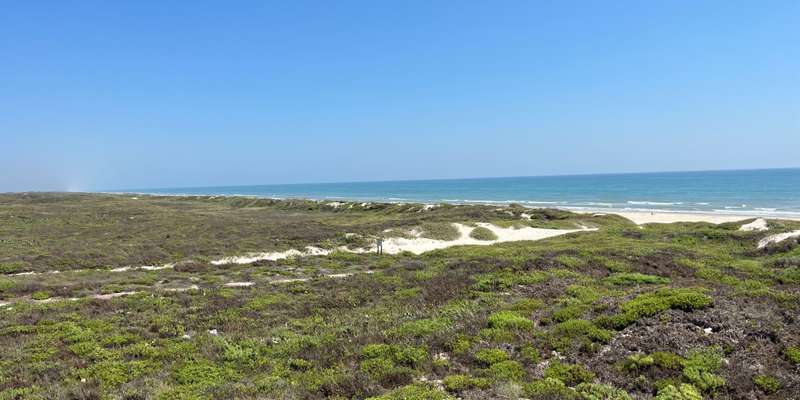 The featured photo for Malaquite Visitor Center Dunes and Gulf Waters