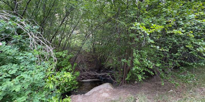 The featured photo for Dry Creek-Station 1