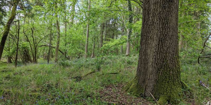 The featured photo for WWS114