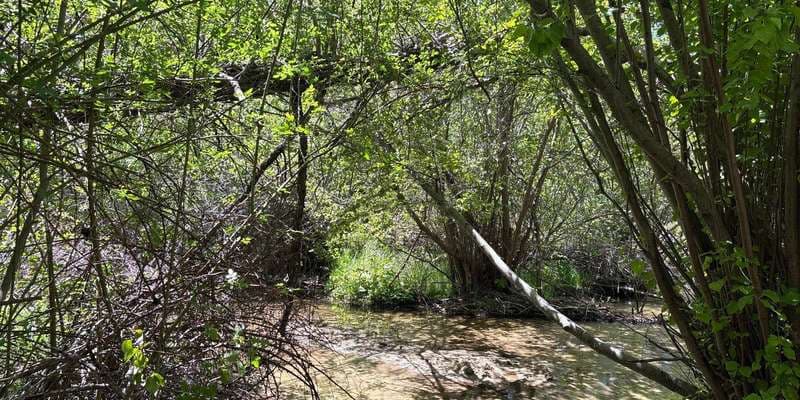 The featured photo for Dry Creek-Station 3