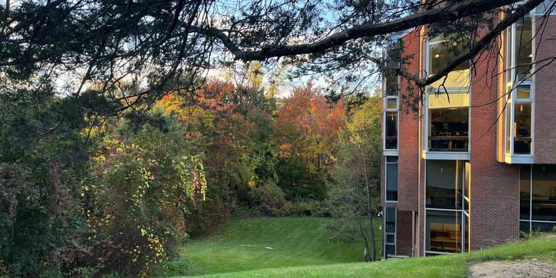 The featured photo for Chapels Field Wetland