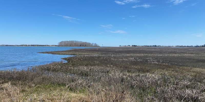 The featured photo for Landing Lane- Accabonac Harbor
