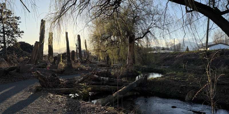 The featured photo for Ts'lhimexósem - Riparian Restoration 2