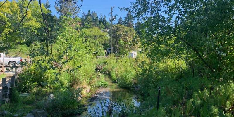 The featured photo for Departure Creek Realignment (Bay Street)