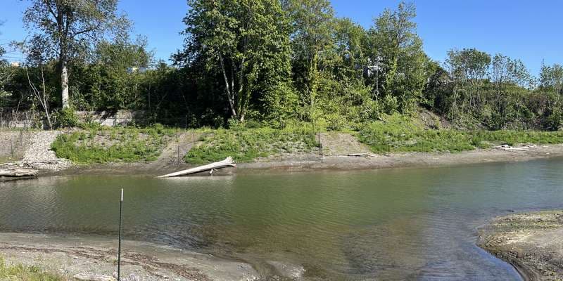 The featured photo for Little Squalicum Estuary - Trail Station