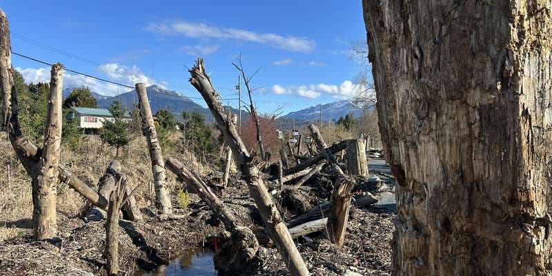The featured photo for Ts'lhimexósem - Salmon Habitat Enhancement