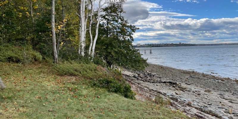 The featured photo for Hagge Woods - Little Diamond Island