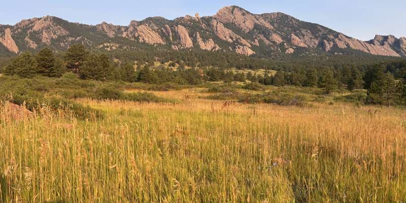 The featured photo for Mesa Trail
