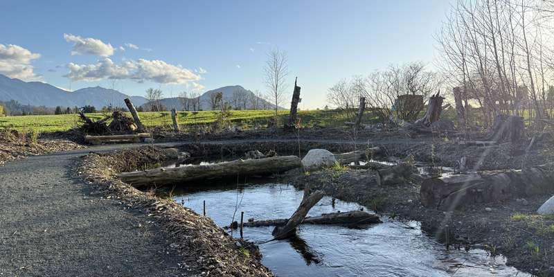 The featured photo for Ts'lhimexósem - Salmonberry Pond