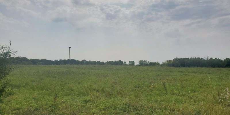 The featured photo for Carver Park Reserve – Nature Center Road Prairie