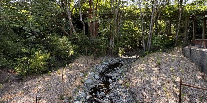 The featured photo for Padden Creek Fish Passage Project (12th Street)