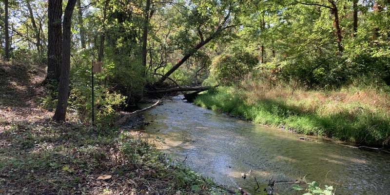 The featured photo for Rob Roy Creek and Floodplain Forest