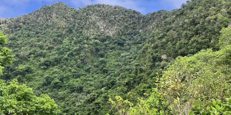 The featured photo for Quill National Park - Crater Viewpoint