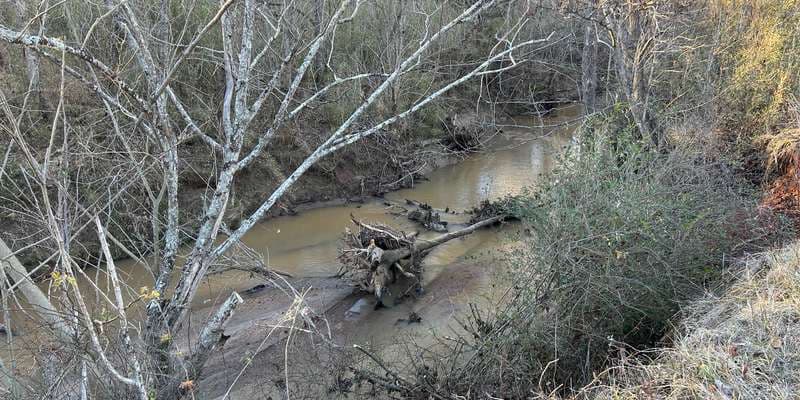 The featured photo for Upstream Looking at Log Jam 1