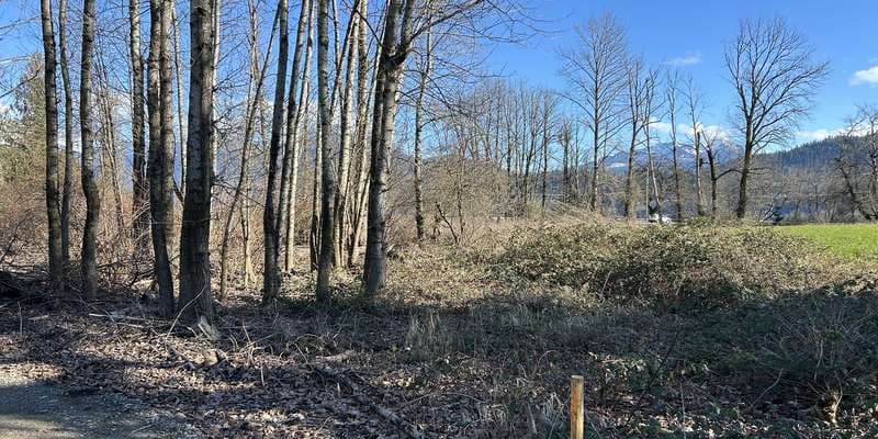 The featured photo for Ts'lhimexósem - Cottonwood Corner