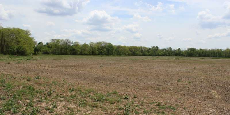 The featured photo for Clary-Boulee-McDonald Nature Preserve