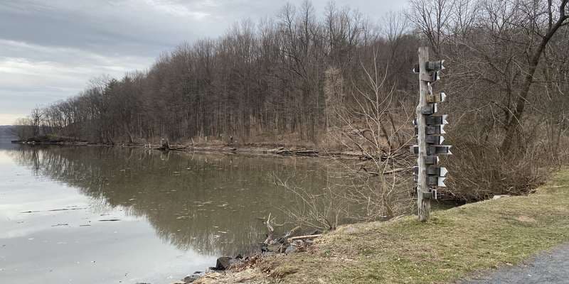 The featured photo for Esopus Meadows Preserve