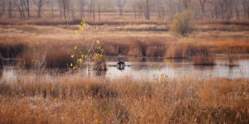 The featured photo for Ertl - White Rocks Wetland Restoration
