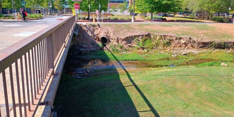 The featured photo for Coleman Creek South 01