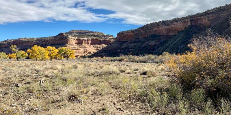 The featured photo for May Flats