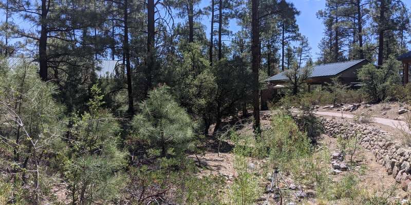 The featured photo for Discovery Gardens Riparian Circle