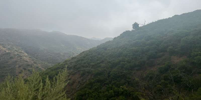 The featured photo for #SpringsFire07