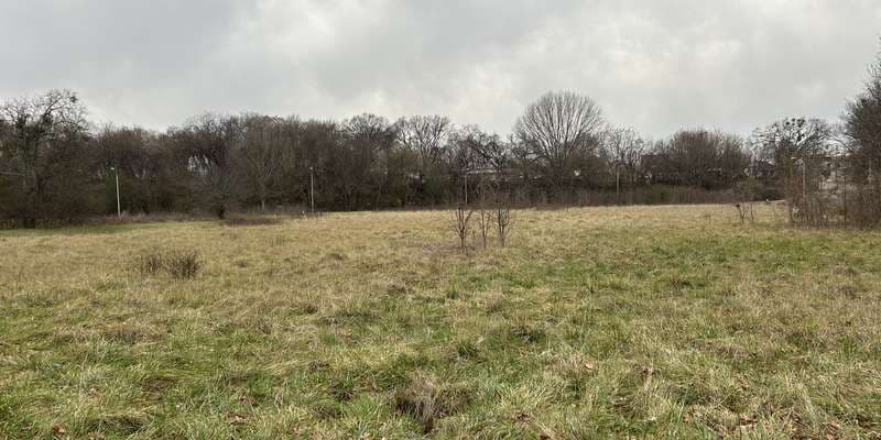 The featured photo for Carver Park Wetland