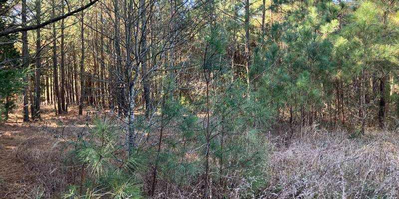 The featured photo for Pleasure House Point Natural Area 3