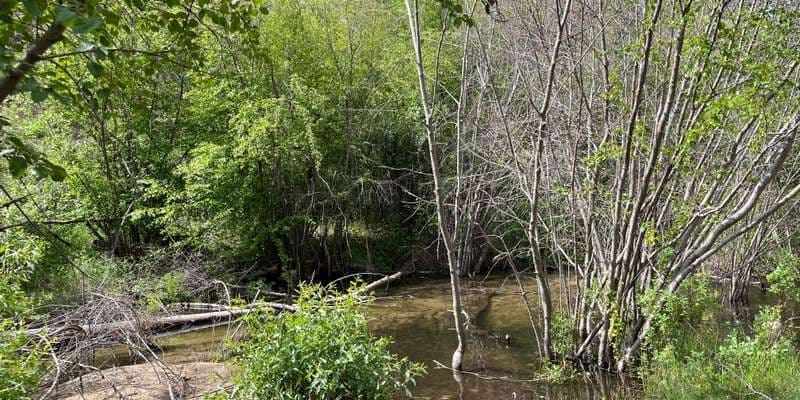 The featured photo for Dry Creek-Station 2