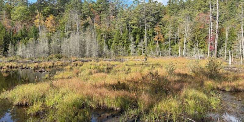 The featured photo for Eagle Mountain Wilderness Preserve