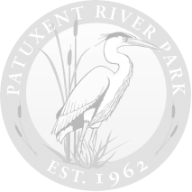 Patuxent River Parks Logo